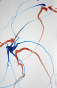 Daddy Longlegs