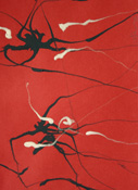 Tightrope Warriors
